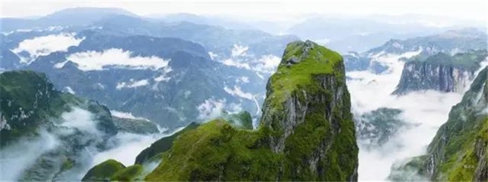 微信图片_20190828144829.jpg