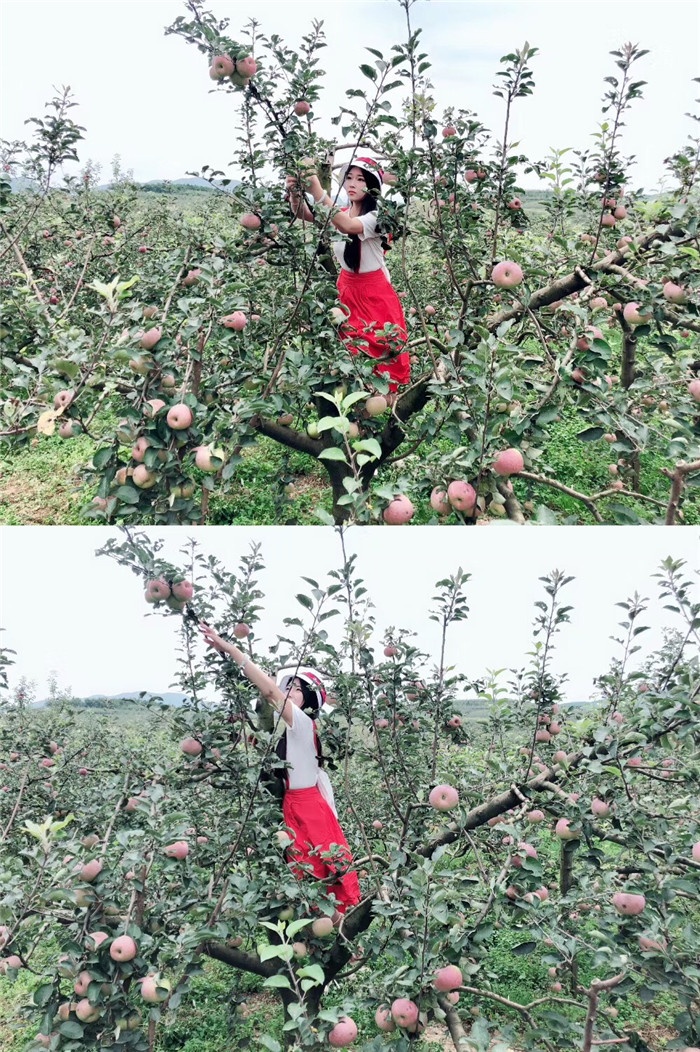 微信图片_20190828113026.jpg