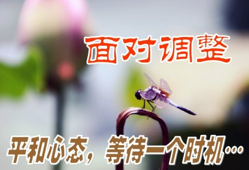 沉蜇：投资误区】—不是投资市场不赚钱， 以下投资误区...