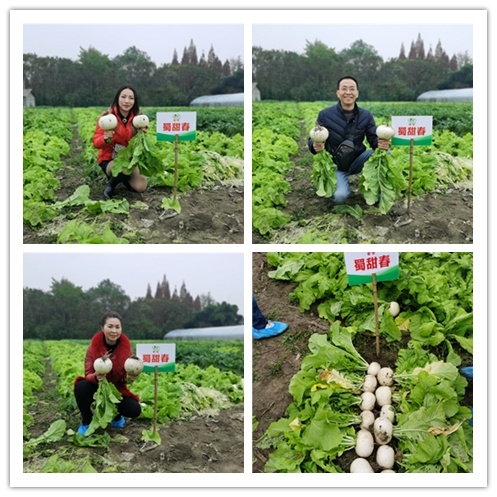 微信图片_201912090912291_副本.jpg 微信图片_201912090912291_副本.jpg