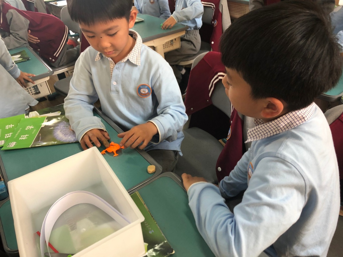 微信图片_20191025133158.jpg 微信图片_20191025133158.jpg