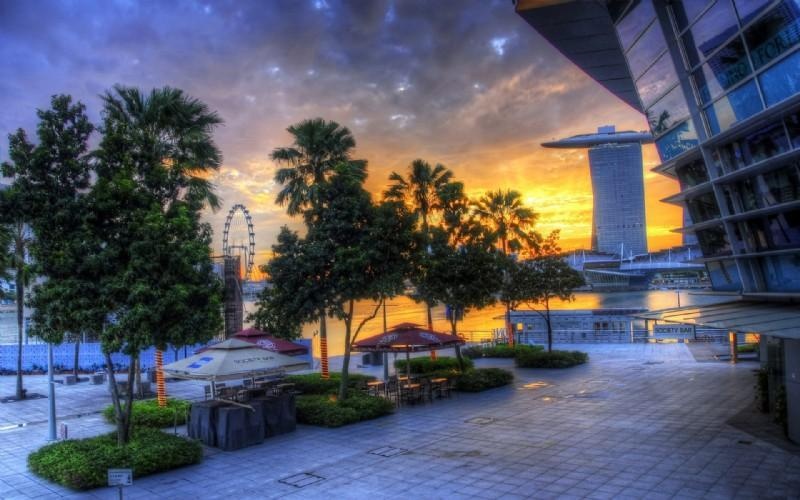 新加坡留学专业申请,新加坡政府