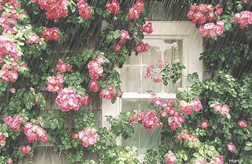 timg (2).jpg timg (2).jpg