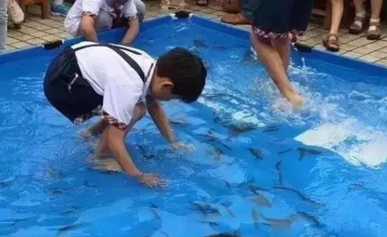 微信图片_20190702163351.png