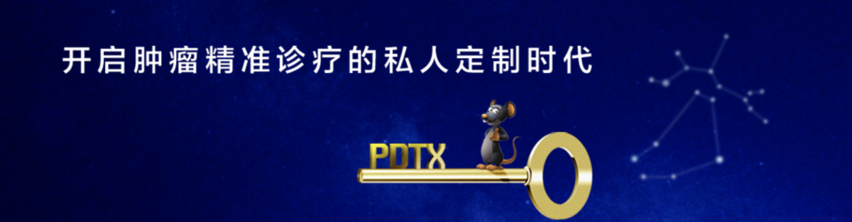 普恩.png
