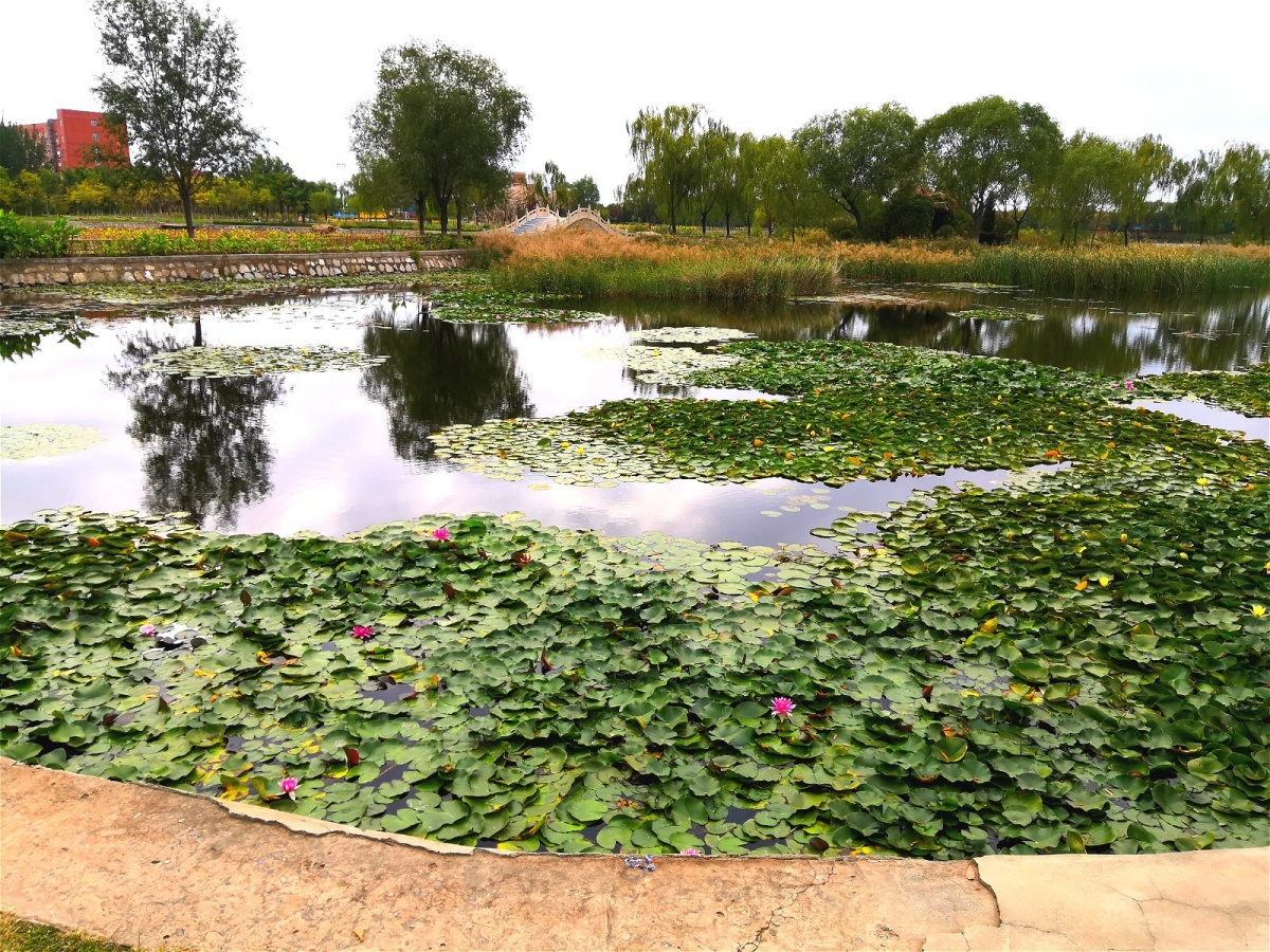 IMG_20191005_140644_meitu_5.jpg IMG_20191005_140644_meitu_5.jpg