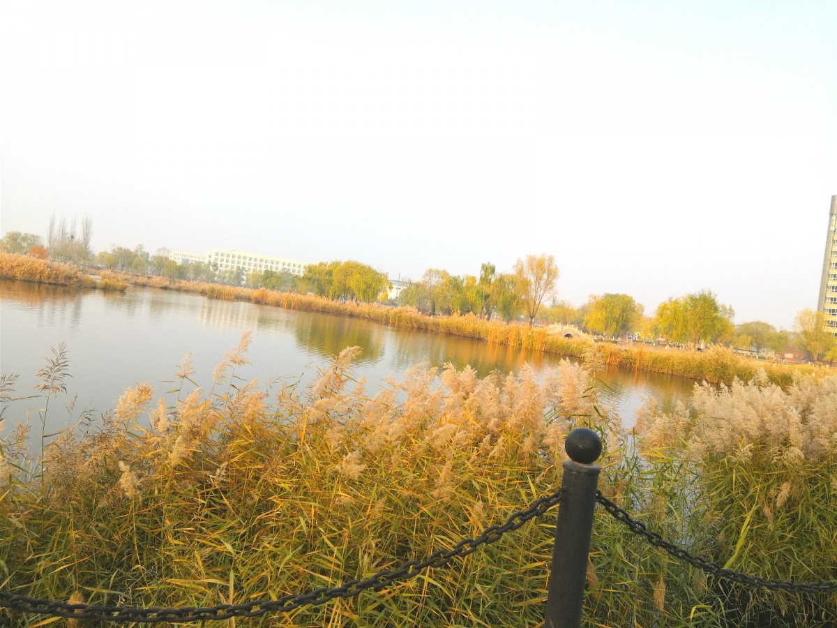 IMG_20191108_155134_meitu_1.jpg IMG_20191108_155134_meitu_1.jpg