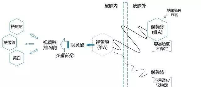 20190726科芙蘭：不想老得快，這些抗衰成分一定要懂!458.png