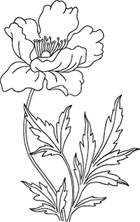 20190523-1.png 20190523-1.png