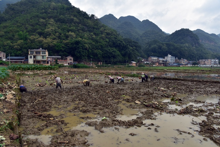 西牛村1.jpg