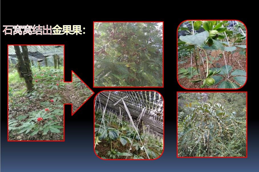QQ截图20191028223447.jpg