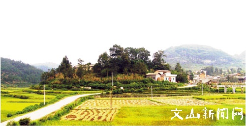 广南县牡宜村白龙坡汉墓地址。.jpg