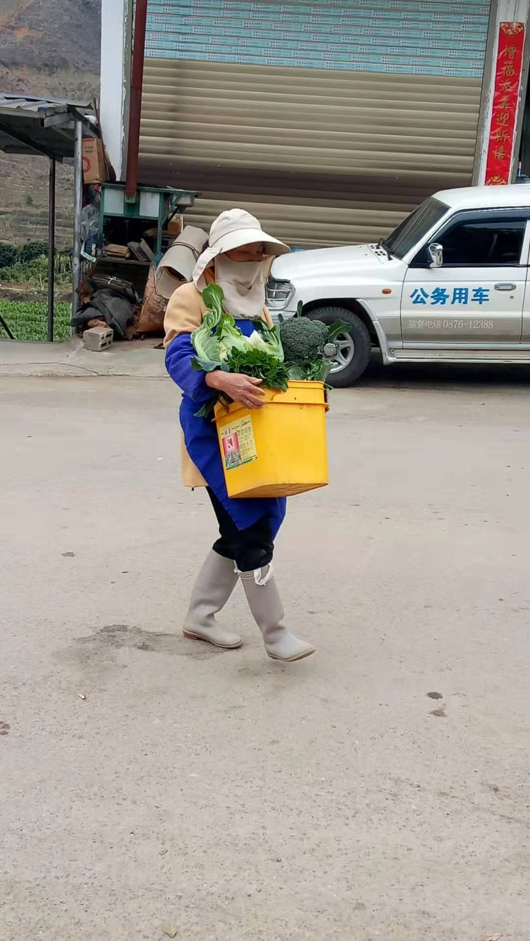 严雪芳、廖爱平为卡点送来新鲜蔬菜.png