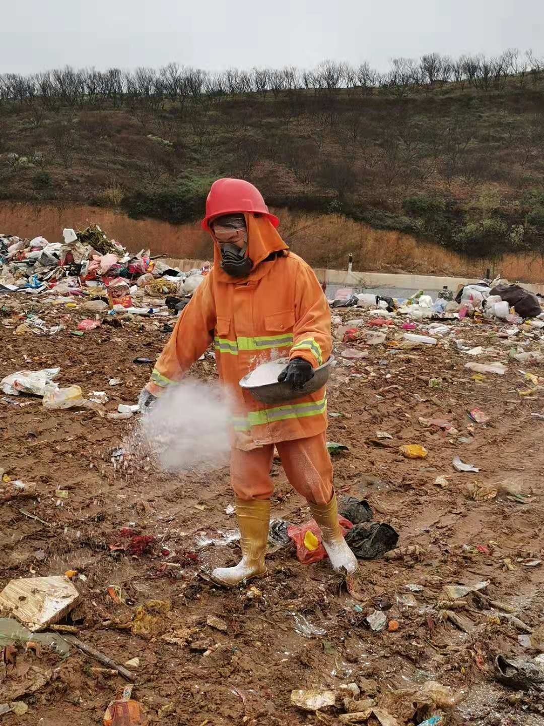 杨永翠，填埋消杀.jpg