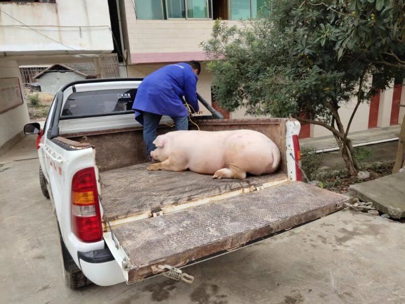 QQ图片20200207102630.jpg