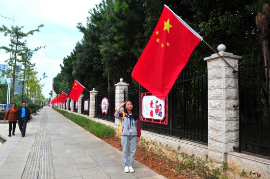 向国旗敬礼.jpg