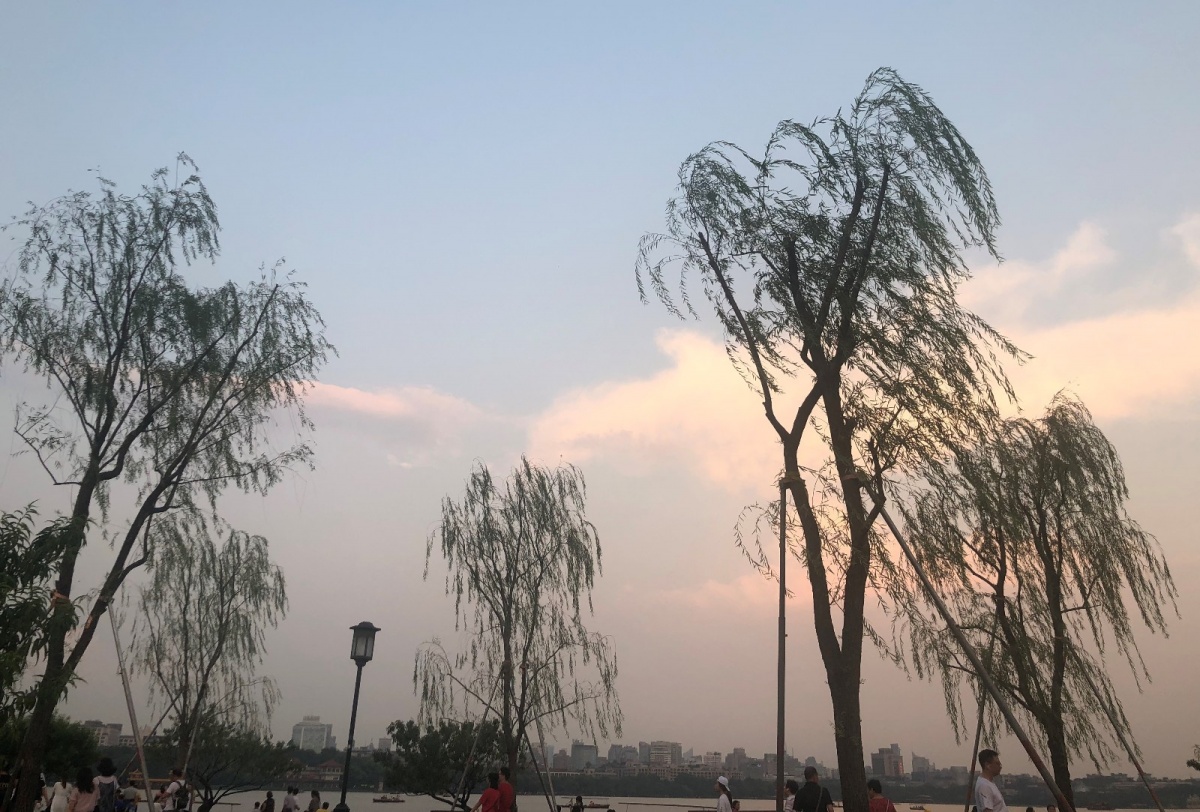 微信图片_20191216125320.jpg