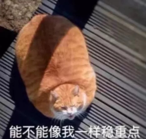 108.webp.jpg