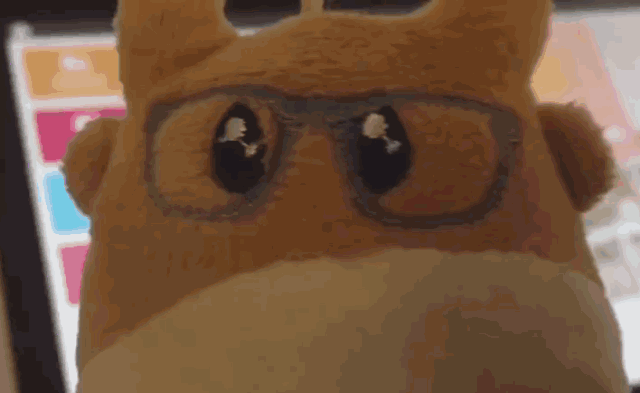 640 (1).gif