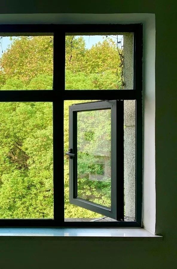 mmexport1575110722116.jpg mmexport1575110722116.jpg