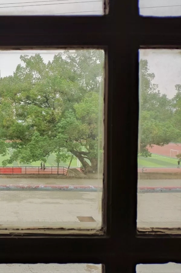 mmexport1575110738586.jpg mmexport1575110738586.jpg