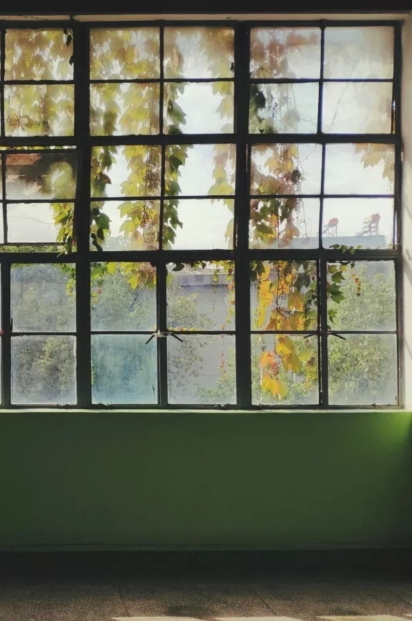 mmexport1575110633148.jpg mmexport1575110633148.jpg