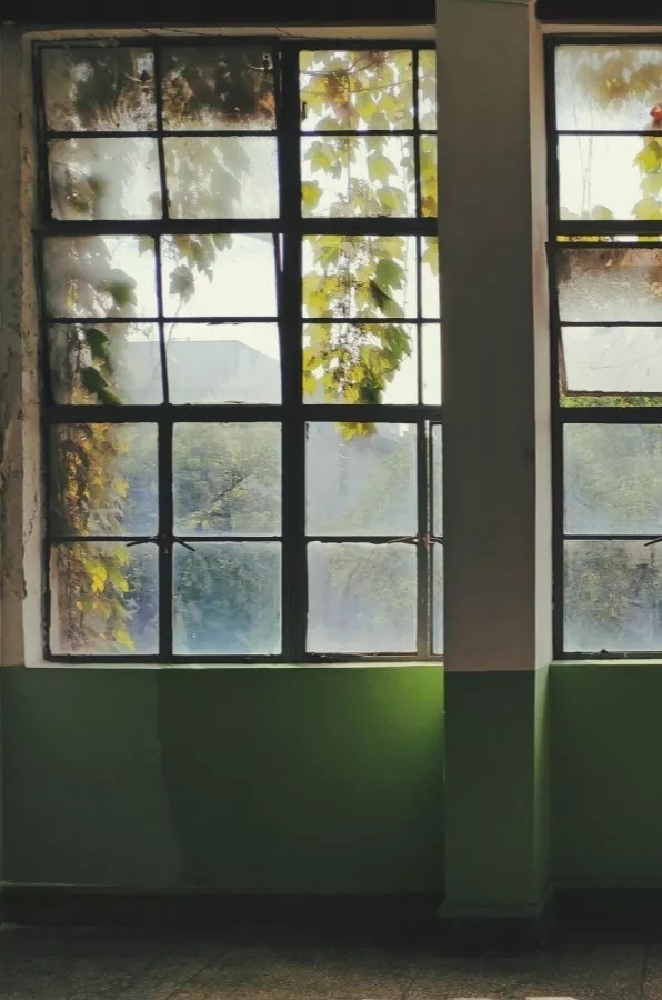 mmexport1575110630695.jpg mmexport1575110630695.jpg