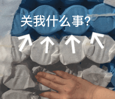 1321.jpg.gif