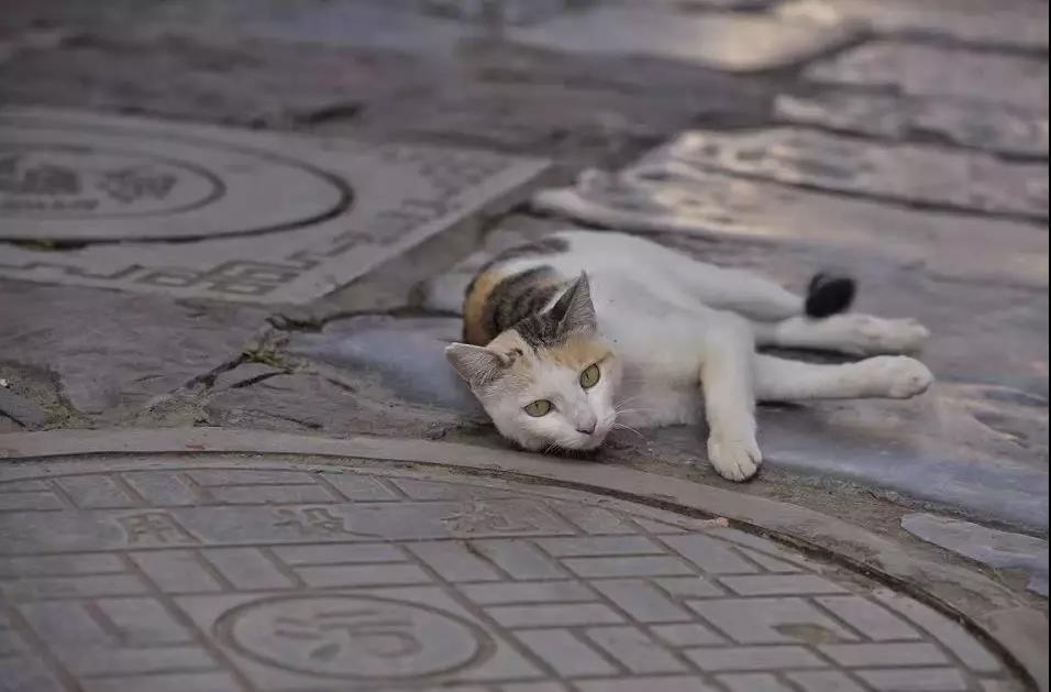 穿越慢时光，来锦里和建水相遇