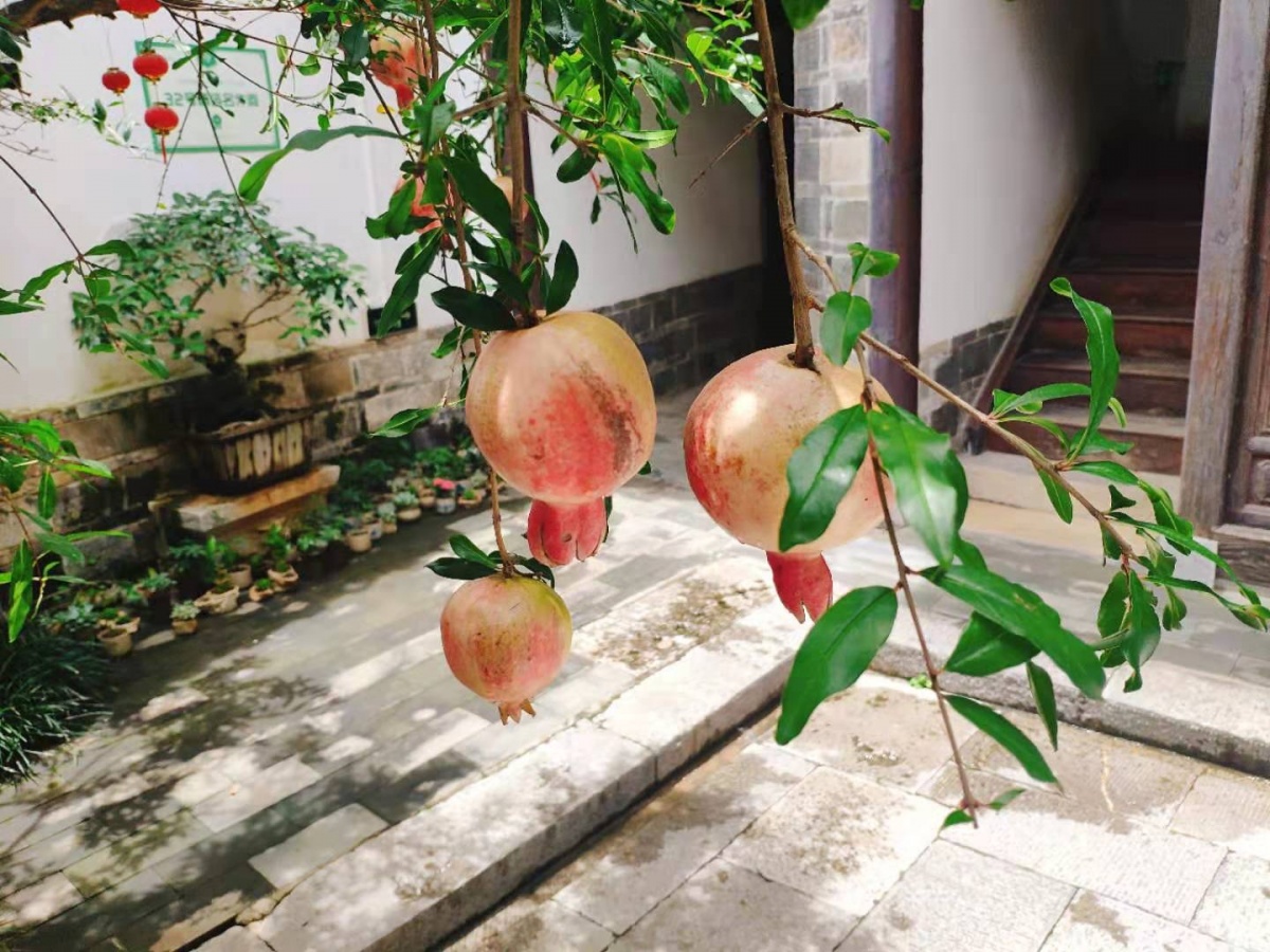 穿越慢时光，来锦里和建水相遇