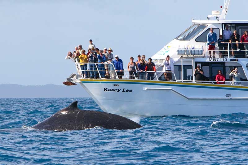 Wildlife Coast Cruises.jpg