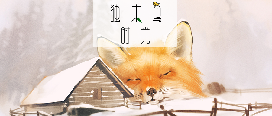 独木鸟时光.png