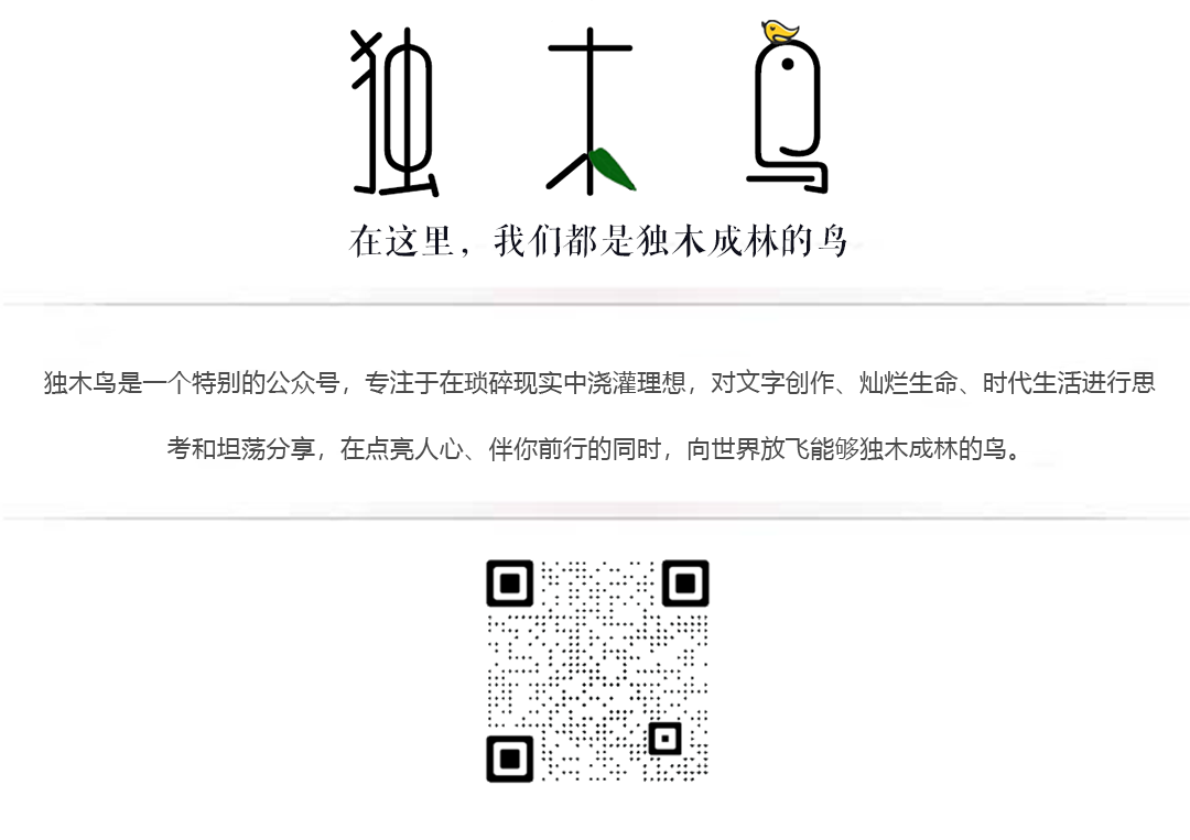 独木鸟推荐语和二维码2.png
