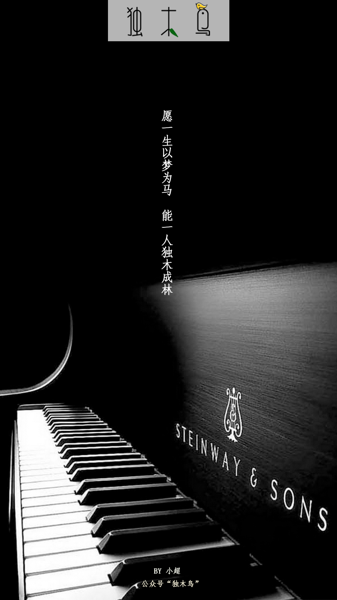 愿一生 琴.png 这些配图也太美了吧,今天都免费分享给你 | 独木鸟意境海报 第1辑 54张