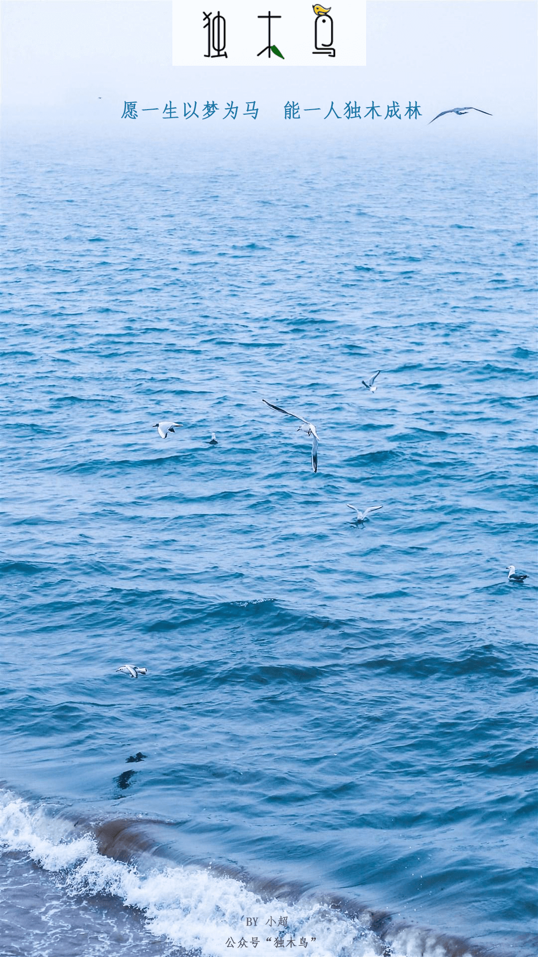大海.png 这些配图也太美了吧,今天都免费分享给你 | 独木鸟意境海报 第1辑 54张