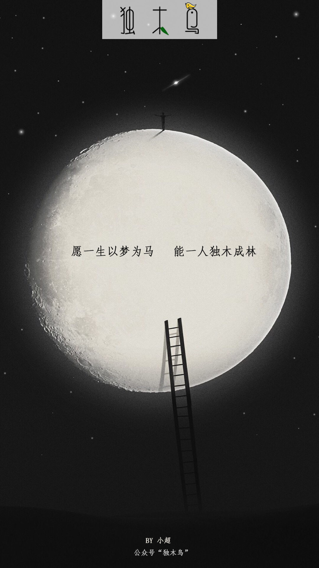 愿一生-月亮.png 这些配图也太美了吧,今天都免费分享给你 | 独木鸟意境海报 第1辑 54张