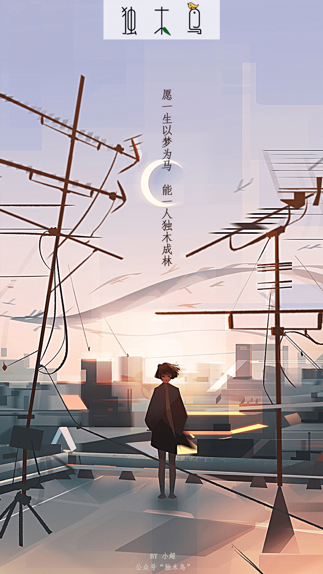 天台电线.png 这些配图也太美了吧,今天都免费分享给你 | 独木鸟意境海报 第1辑 54张