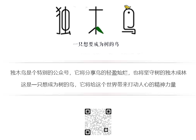 少年啊,你知道吗,这便是大人了 | 独木鸟日记 少年啊,你知道吗,这便是大人了 | 独木鸟日记