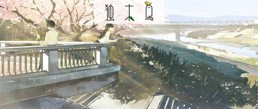 28.png 少年啊,你知道吗,这便是大人了 | 独木鸟日记