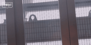 3-11.gif 商业 | 不差旅行×飞猪支付宝