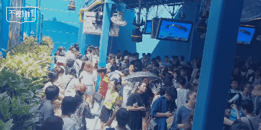 3-5.gif 商业 | 不差旅行×飞猪支付宝