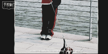 10.gif