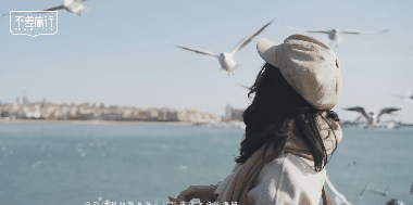 商业 | 不差旅行×尼康Z50