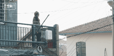 商业 | 不差旅行×尼康Z50