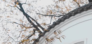 商业 | 不差旅行×日产逍客