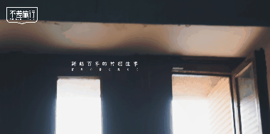 商业 | 不差旅行×尼康Z50