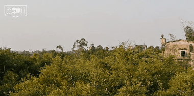 商业 | 不差旅行×尼康Z50