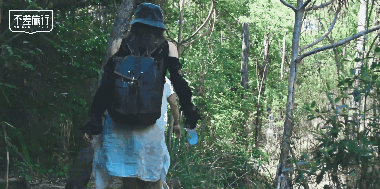 商业 | 不差旅行×尼康Z50