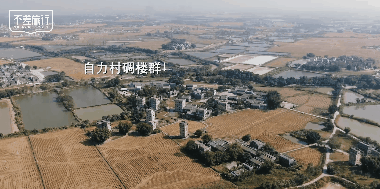 商业 | 不差旅行×尼康Z50