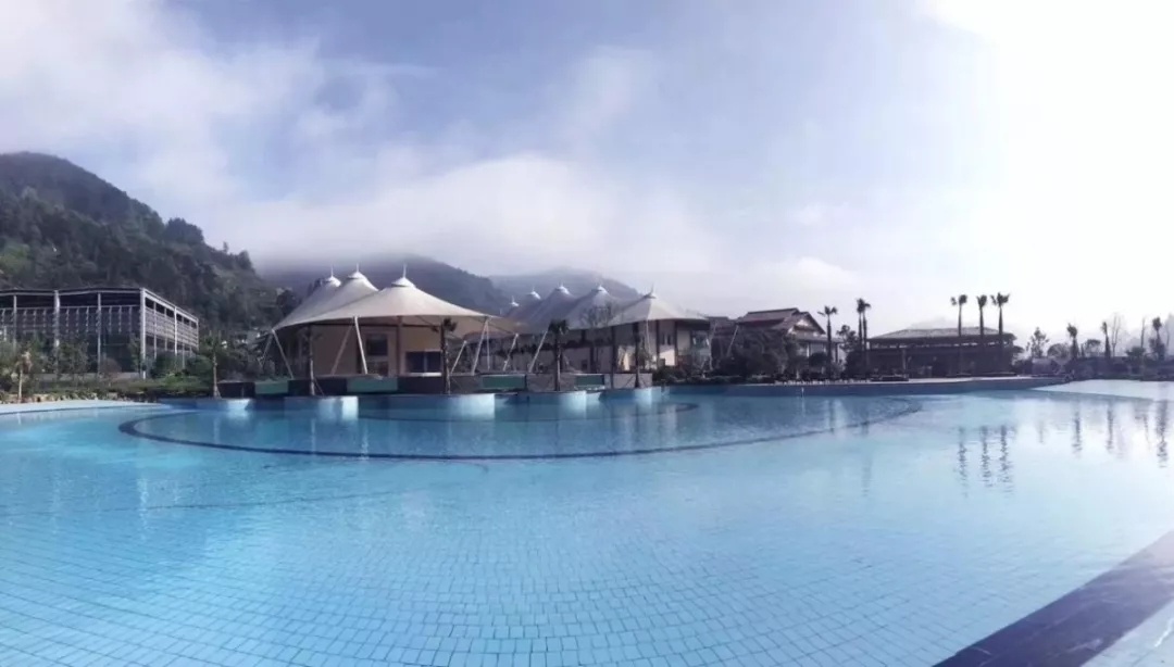 6.webp.jpg 6.webp.jpg